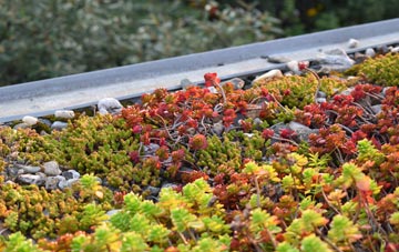 the cost of Porthcothan green roof installation